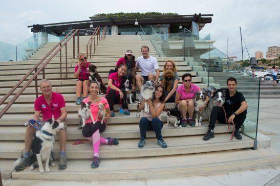 creartica fotografia eventos doggie 3