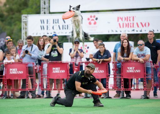 creartica fotografia eventos doggie 4