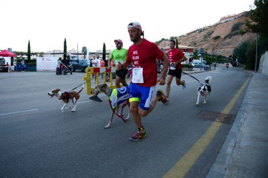 creartica fotografia eventos doggie 5