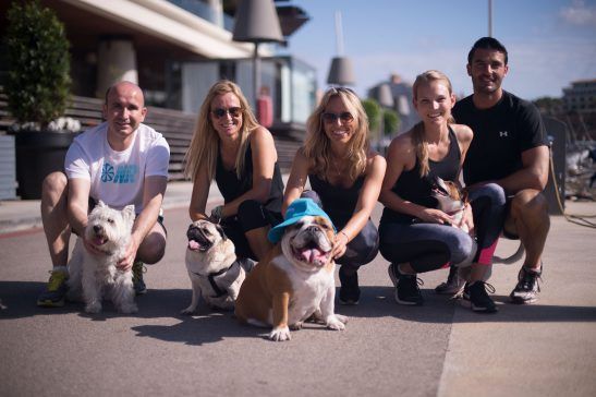 creartica fotografia eventos doggie
